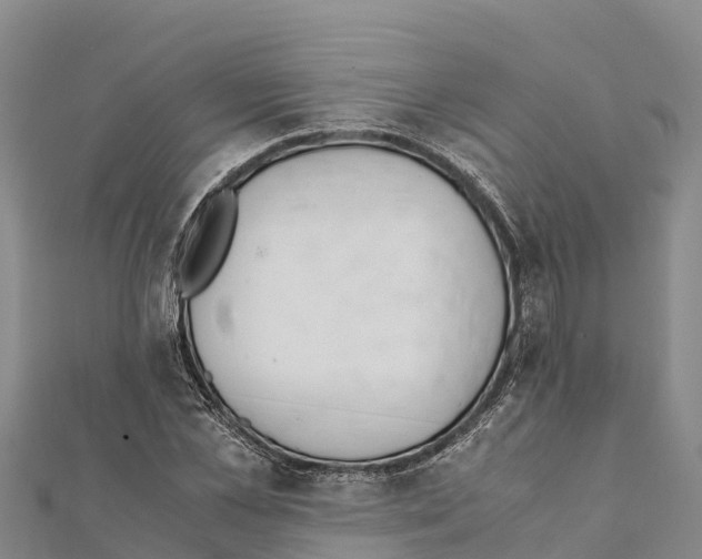 X0000111390973200908211358
