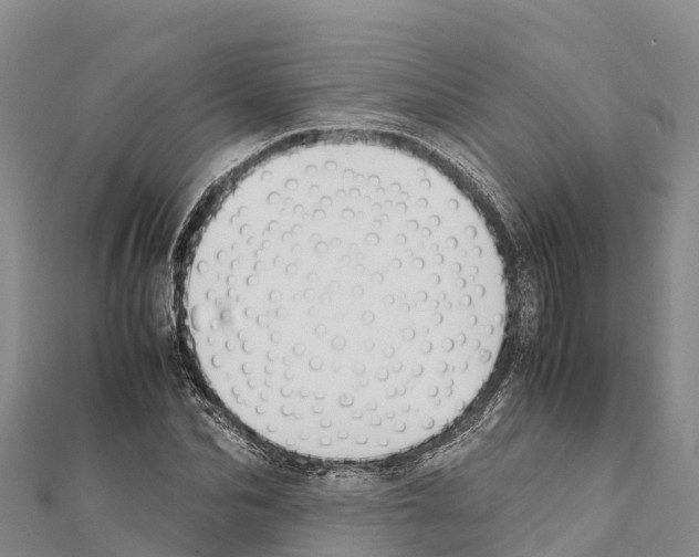 X0000111390974200908211358