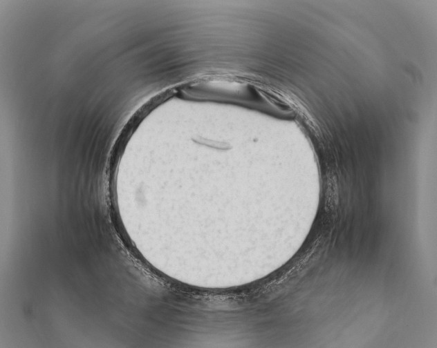 X0000111390976200908211358