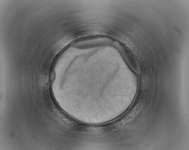 X0000111390977200908211358