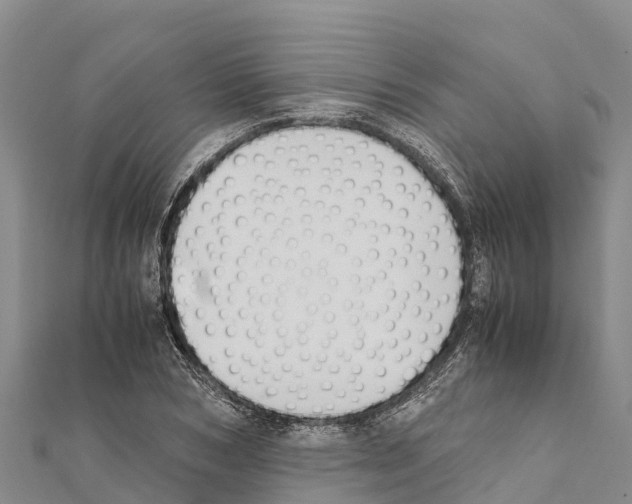 X0000111390978200908211358
