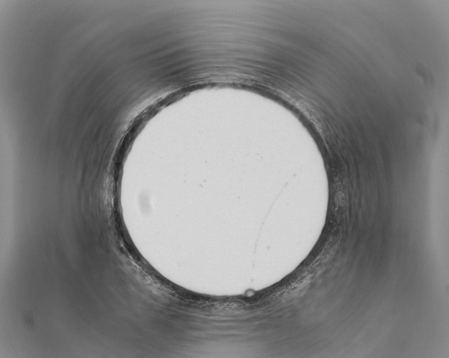 X0000111390979200908211358