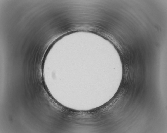 X0000111390980200908211358