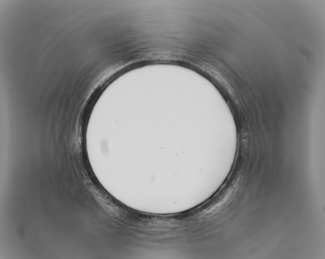 X0000111390981200908211358