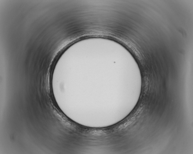 X0000111390982200908211358