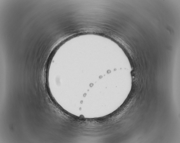 X0000111390983200908211358