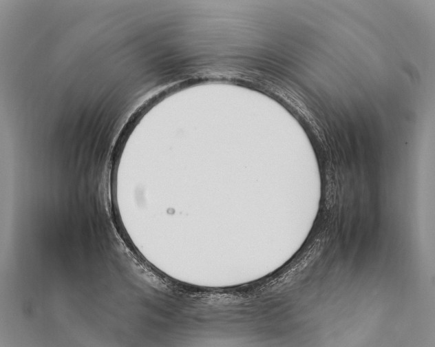 X0000111390984200908211358