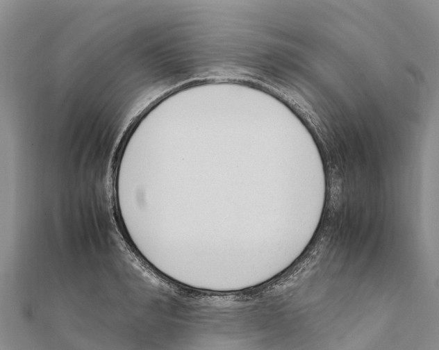 X0000111390990200908211358