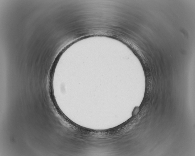 X0000111390991200908211358