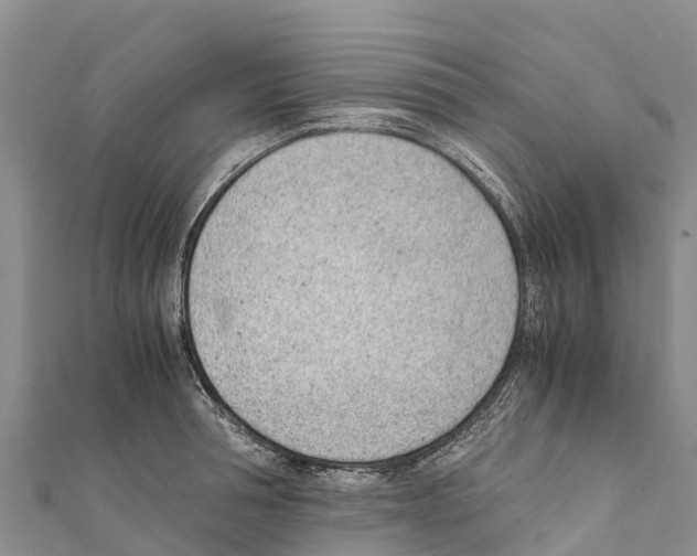 X0000111390994200908211357