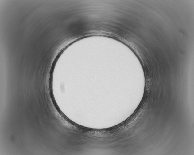 X0000111390995200908211357