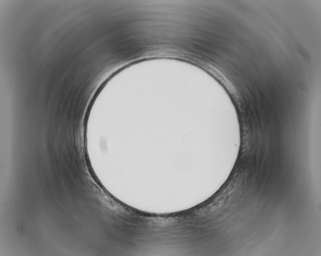 X0000111390996200908211357