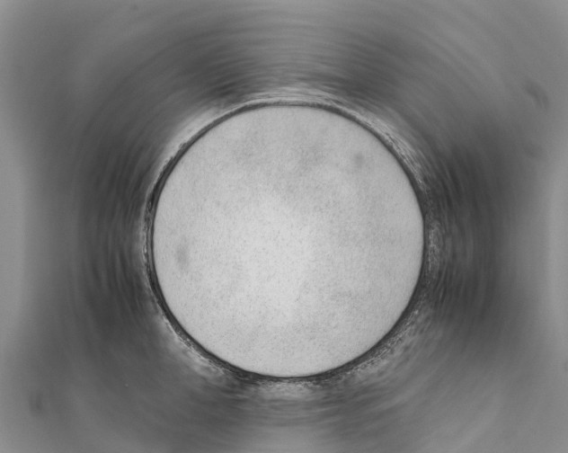 X0000111390998200908211357