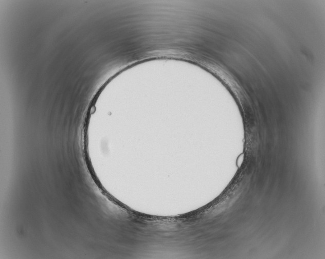 X0000111390999200908211357