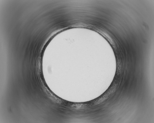 X0000111391000200908211357