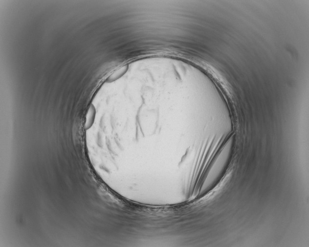 X0000111391001200908211357