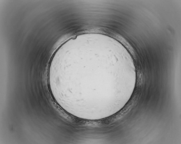 X0000111391002200908211357