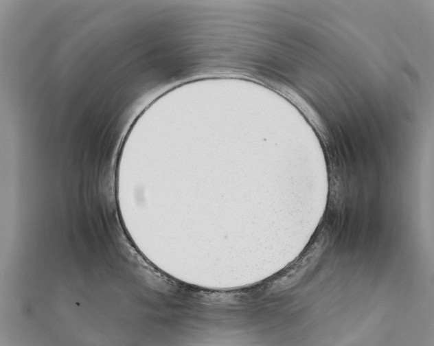 X0000111391004200908211357