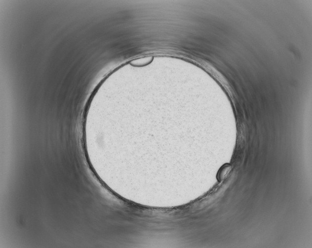 X0000111391005200908211357