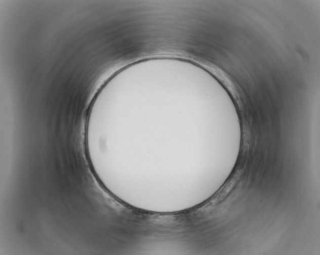 X0000111391006200908211357