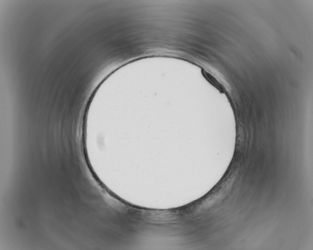 X0000111391007200908211357