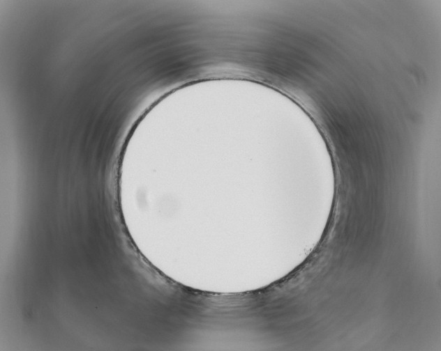X0000111391008200908211357