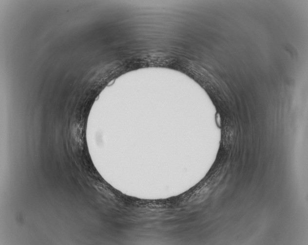 X0000111391010200908211357
