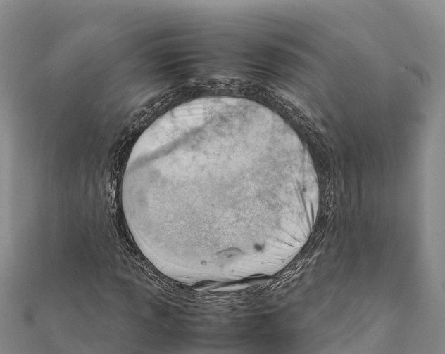 X0000111391013200908211357