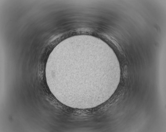 X0000111391015200908211357