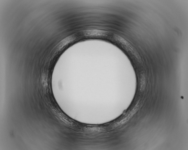 X0000111391017200908211357