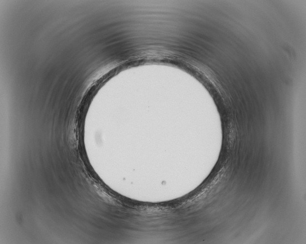 X0000111391018200908211357