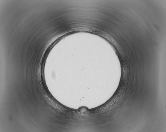X0000111391020200908211357