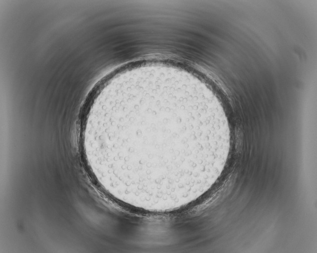 X0000111391021200908211357