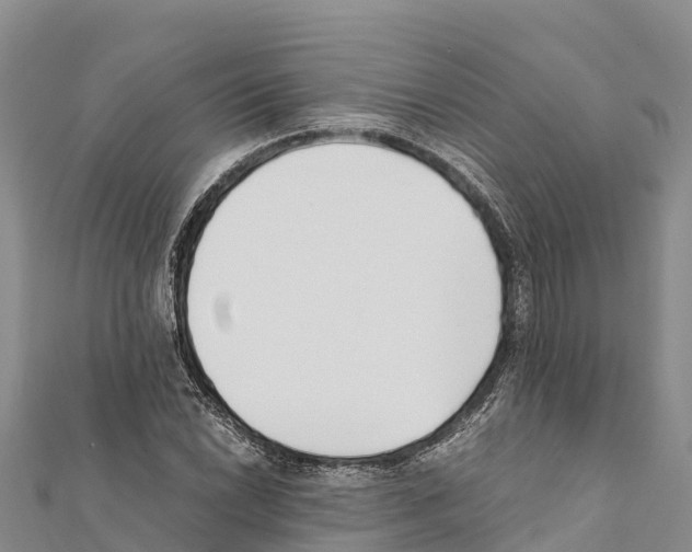 X0000111391022200908211357