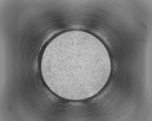 X0000111391023200908211357