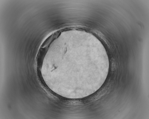 X0000111391024200908211357