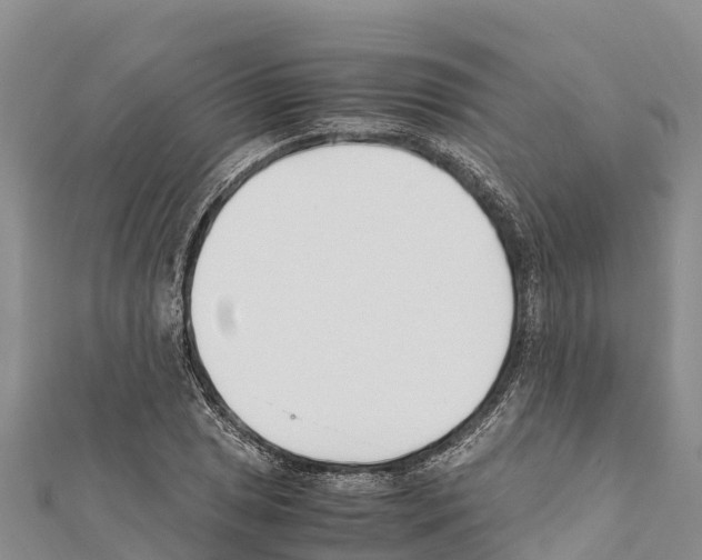 X0000111391025200908211357