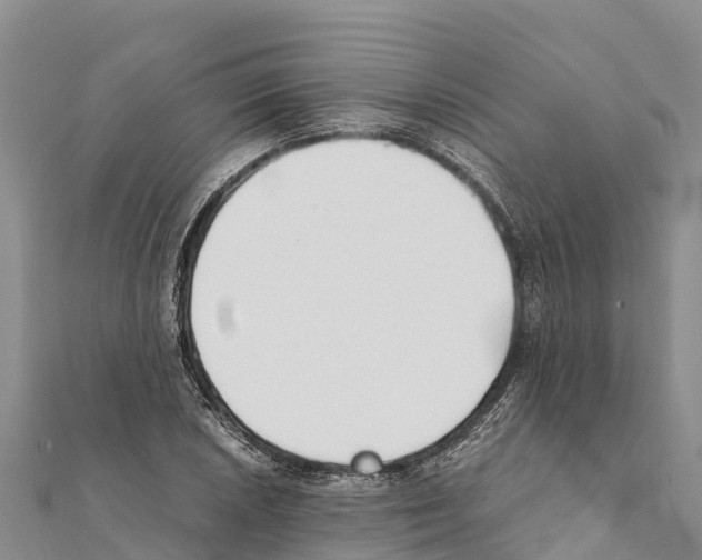 X0000111391026200908211357