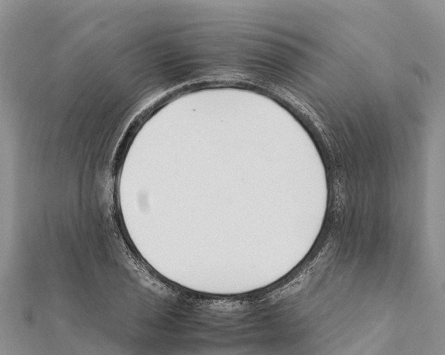 X0000111391029200908211357