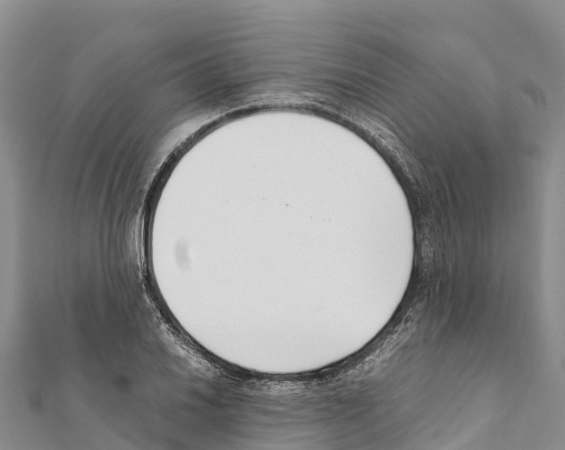 X0000111391030200908211357