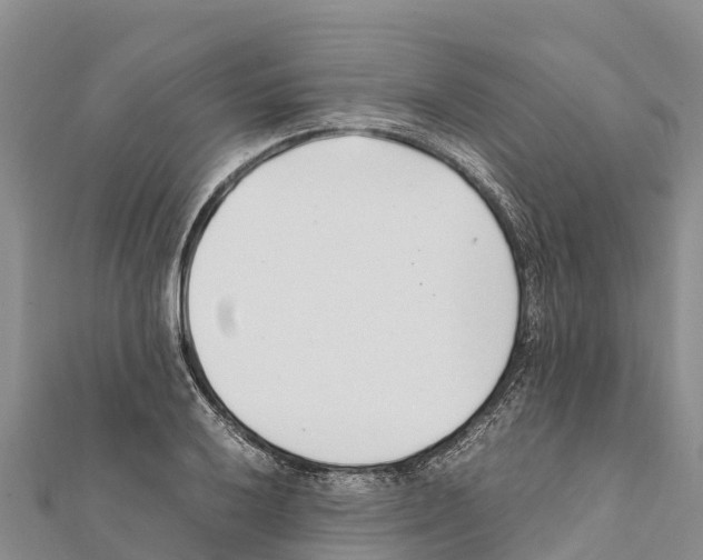 X0000111391032200908211357