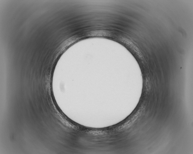 X0000111391033200908211357