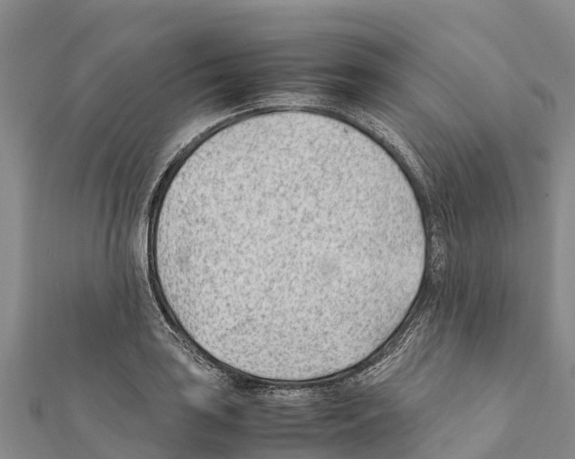 X0000111391035200908211357