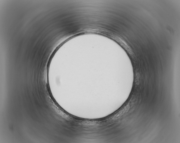 X0000111391036200908211357