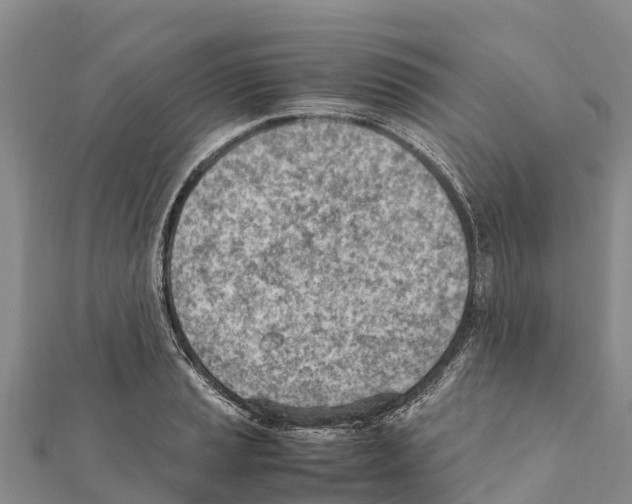 X0000111391037200908211357