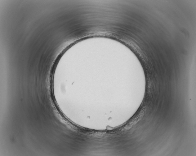 X0000111391038200908211357