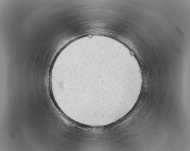 X0000111391040200908211357