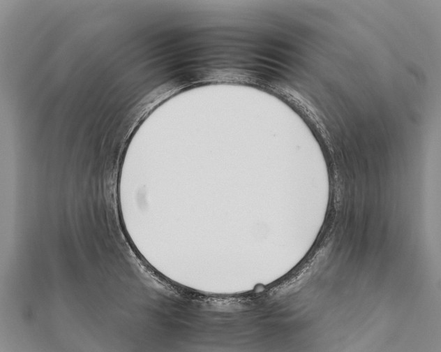 X0000111391041200908211357