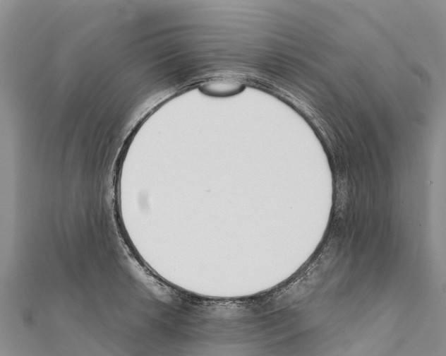 X0000111391042200908211357
