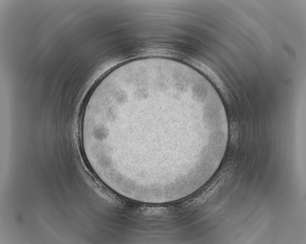 X0000111391043200908211357